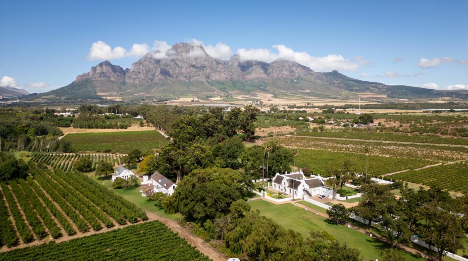 Allèe Bleue Wine Estate Simondium Extérieur photo